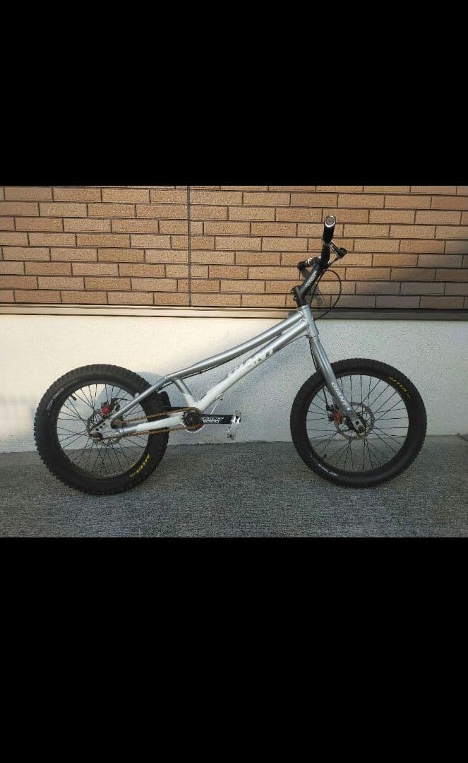 三毛猫 バイク 猫3匹がミニバイクに乗って奇跡のフォーメーション ハンドルに手をかけ