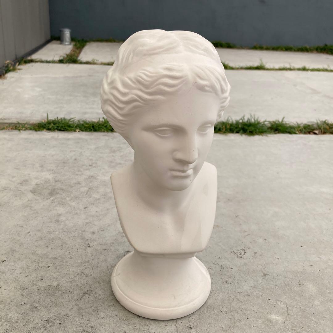 ミロのヴィーナス 胸像 石膏像 顔 美術 スケッチ インテリア 美大受験