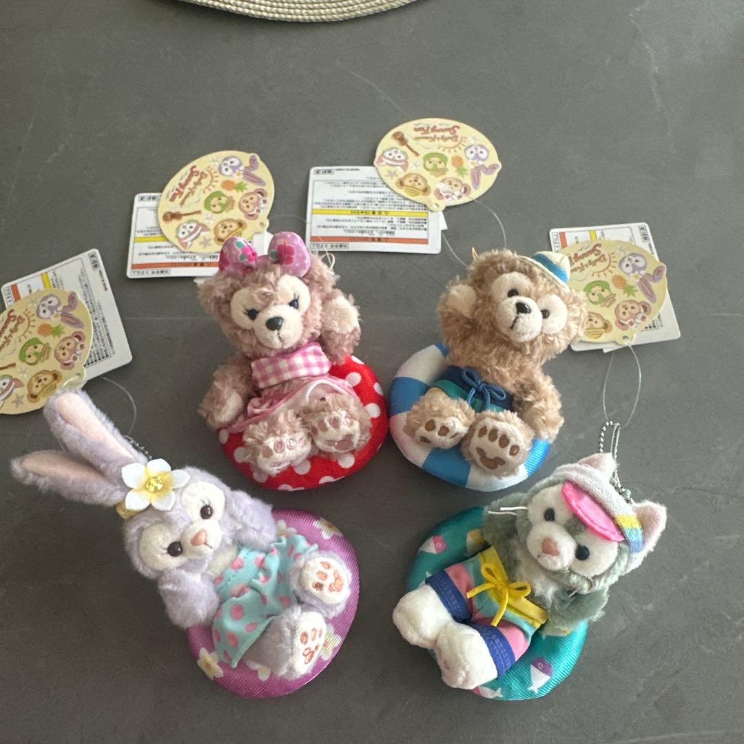新品タグ付 東京ディズニーシー Summer fun キーチェーンセット 浮き輪