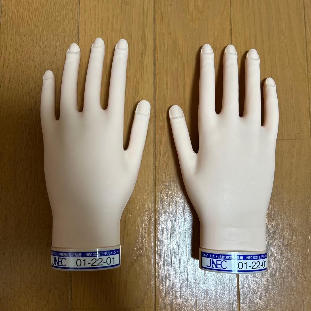 ST モデルハンド 両手