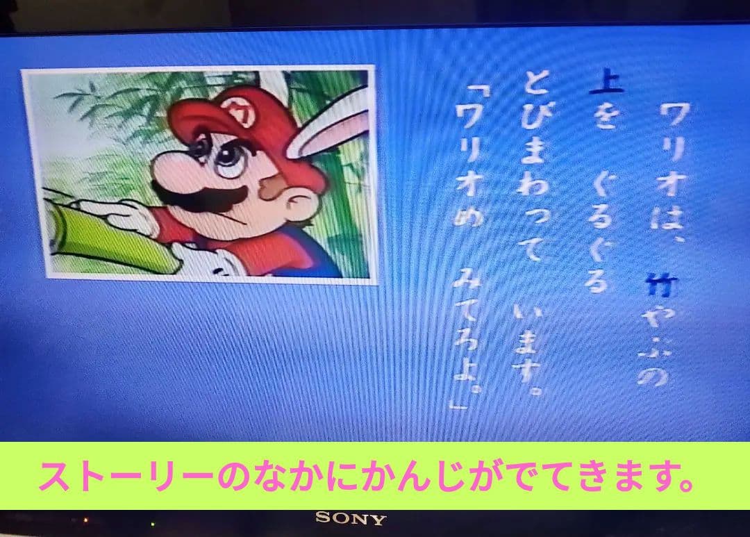 小学低学年用VHSテープ:マリオ・カービィ名作ビデオ,犬のわくわく