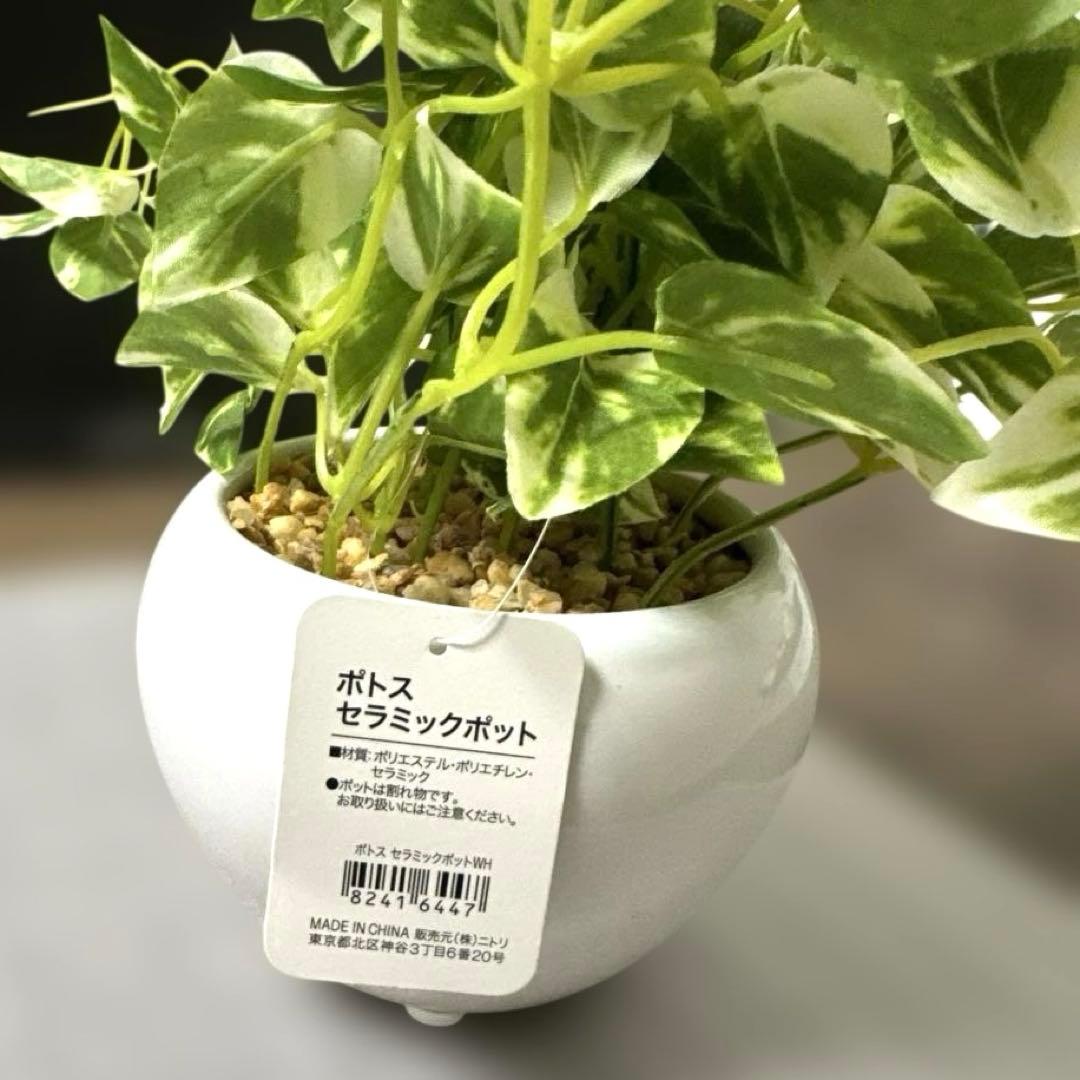 フェイクグリーン(ポトス セラミックポット WH) 2個 - メルカリ