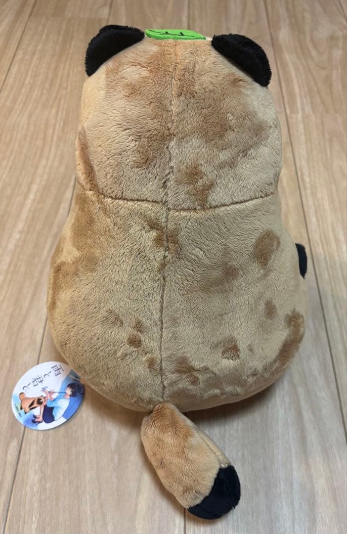 雨と君と BIGぬいぐるみ 『君』 犬 たぬき 狸 - メルカリ