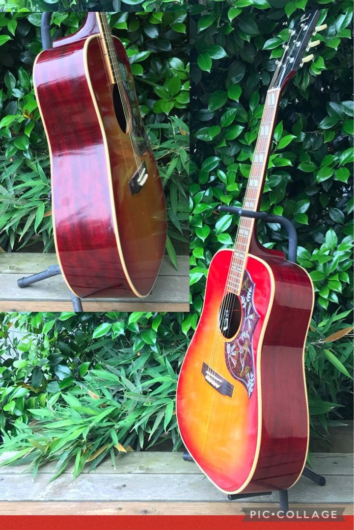 Pearl HB ソニトーン搭載 - メルカリ