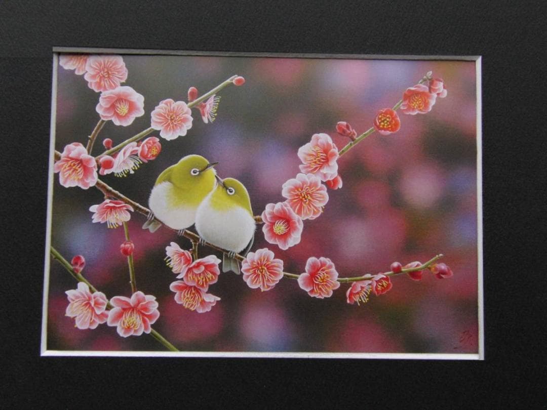 山地司、【紅梅とメジロ】、希少な額装用画集より、状態良好、新品額装付