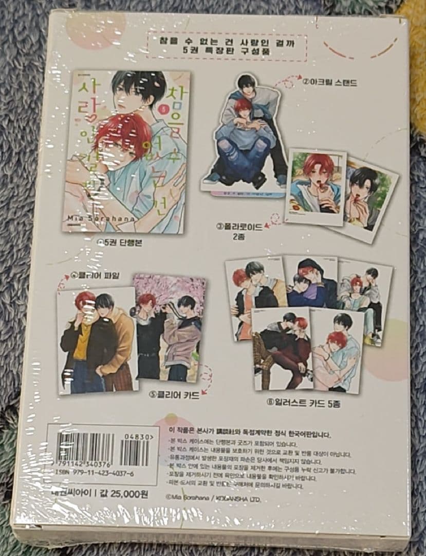 たまらないのは恋なのか　韓国特装版　空華みあ