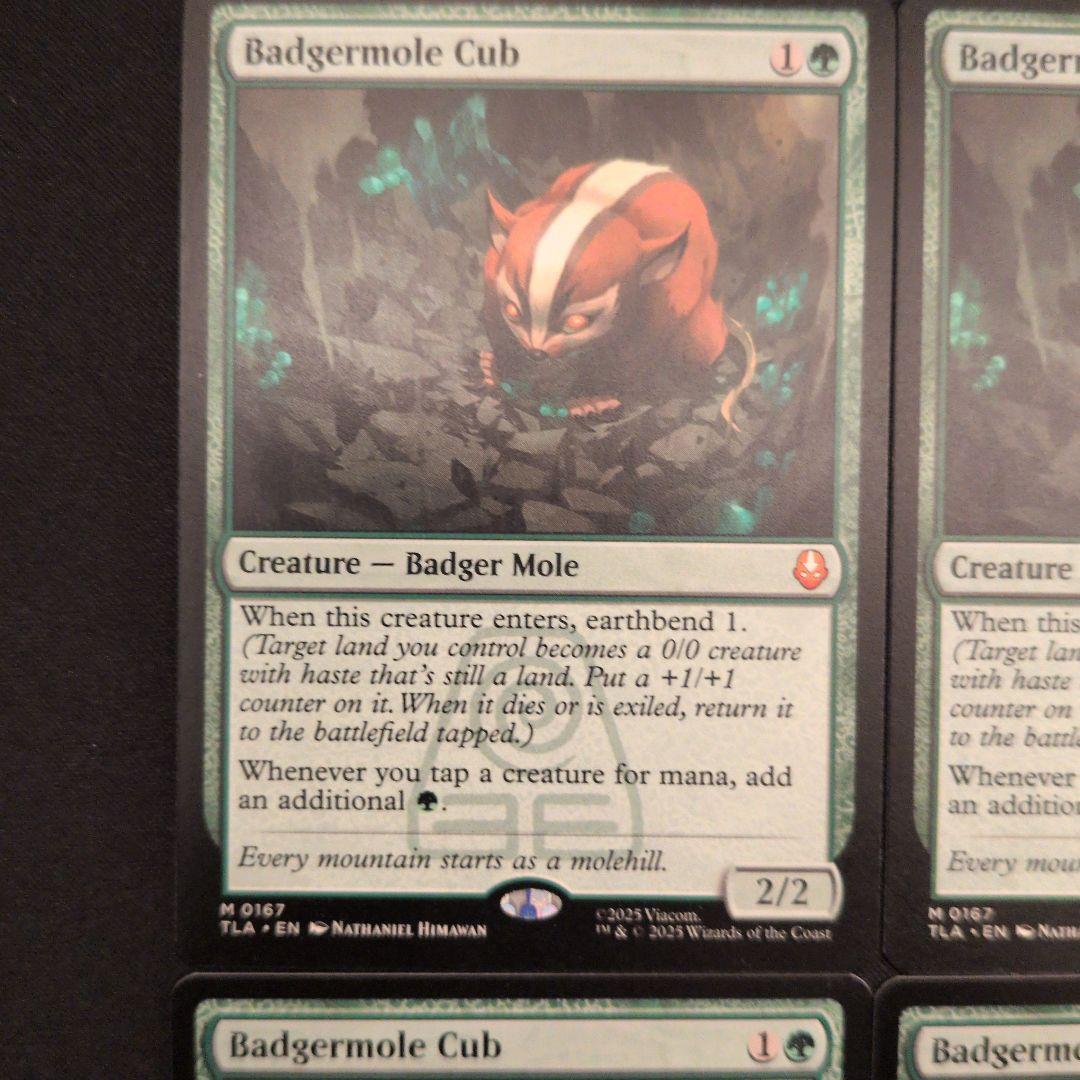 アナマモグラの仔 TLA 英語 4枚