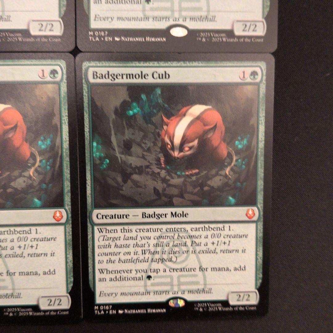 アナマモグラの仔 TLA 英語 4枚