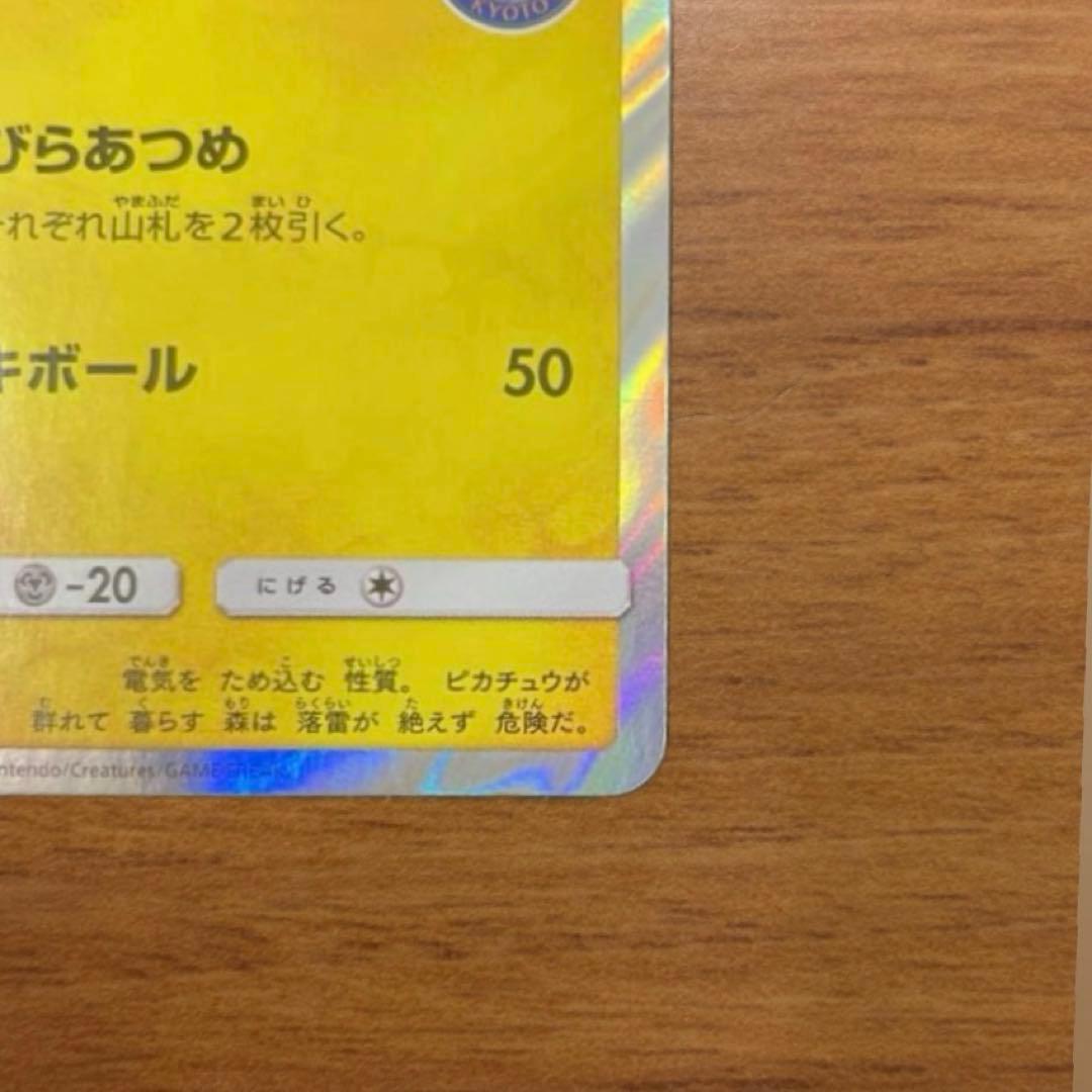 お茶会ごっこピカチュウ：はなびらのまいキャンペーン PROMO SM-P