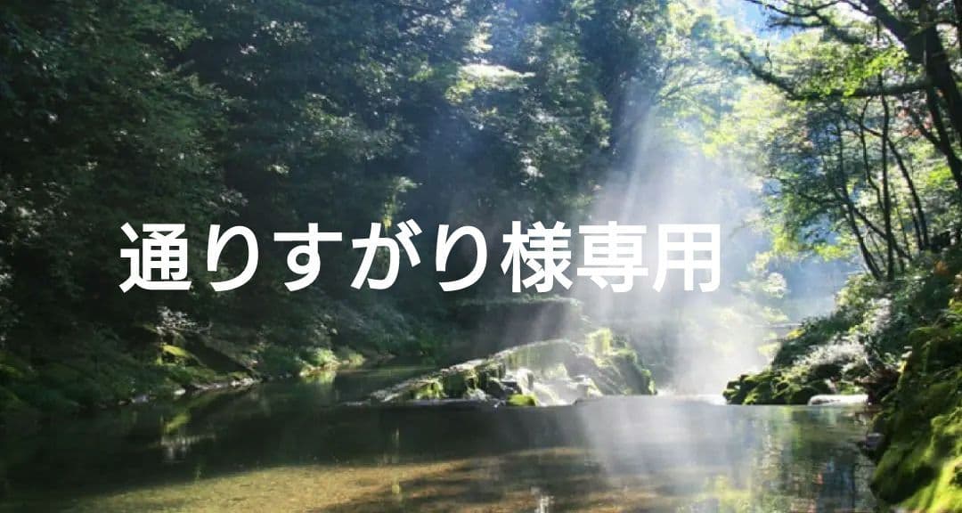 通りすがり✨特典付電磁波防止✨本物CMCペンダントUSA版　1本セット