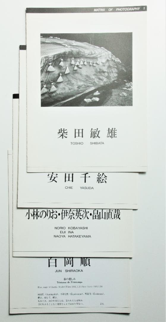 柴田敏雄　白岡順　安田千絵　他　川崎市民ミュージアム　リーフレット　全4点
