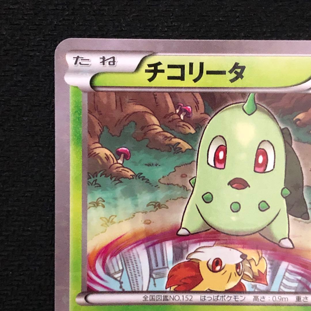 ポケモンカード チコリータ プロモ 222/XY-P スペシャルセット 9192