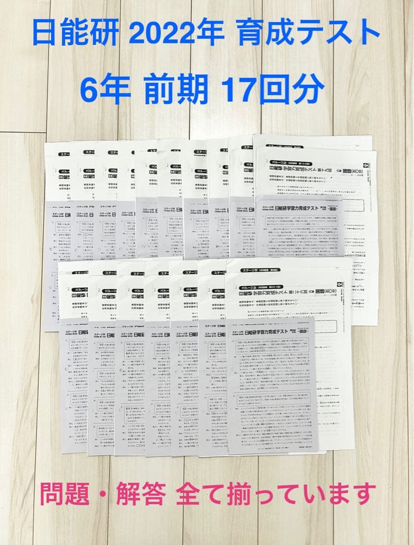日能研 育成テスト★小6【2022年度 前期】欠品なし★6年生