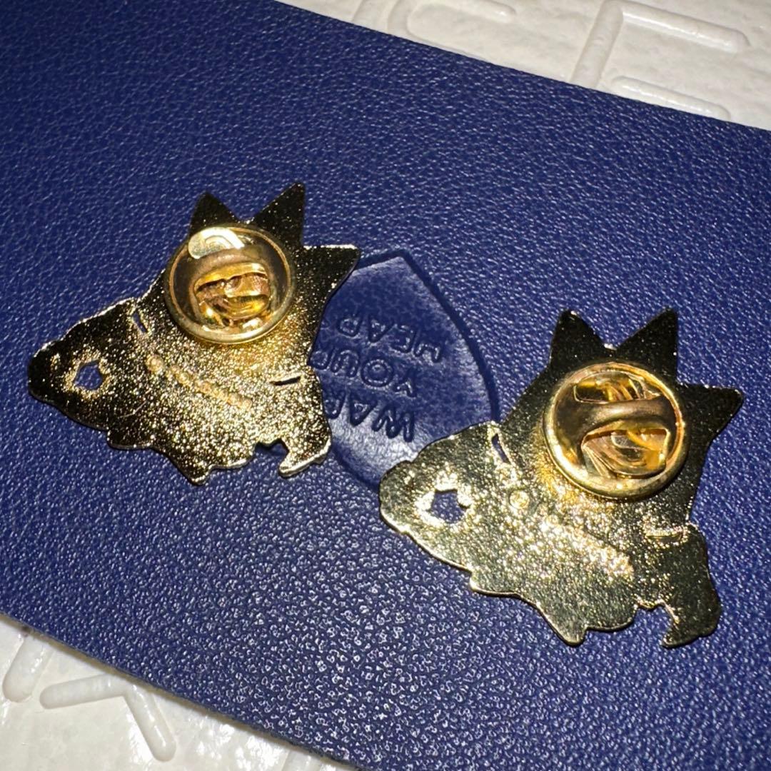 ポケモンセンター メガトウキョー ピカチュウ リザードン ポンチョ