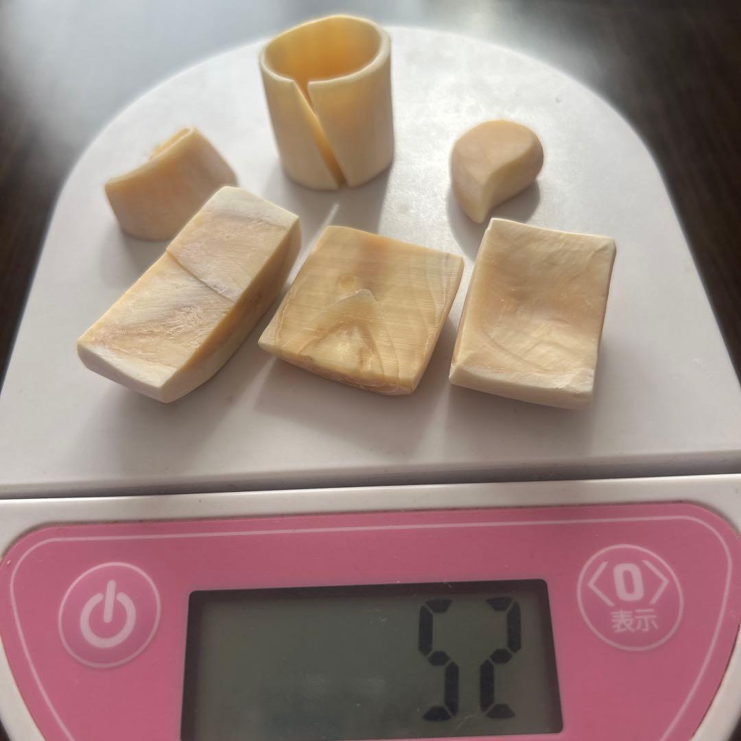 マッコウクジラ歯 色々形 - メルカリ