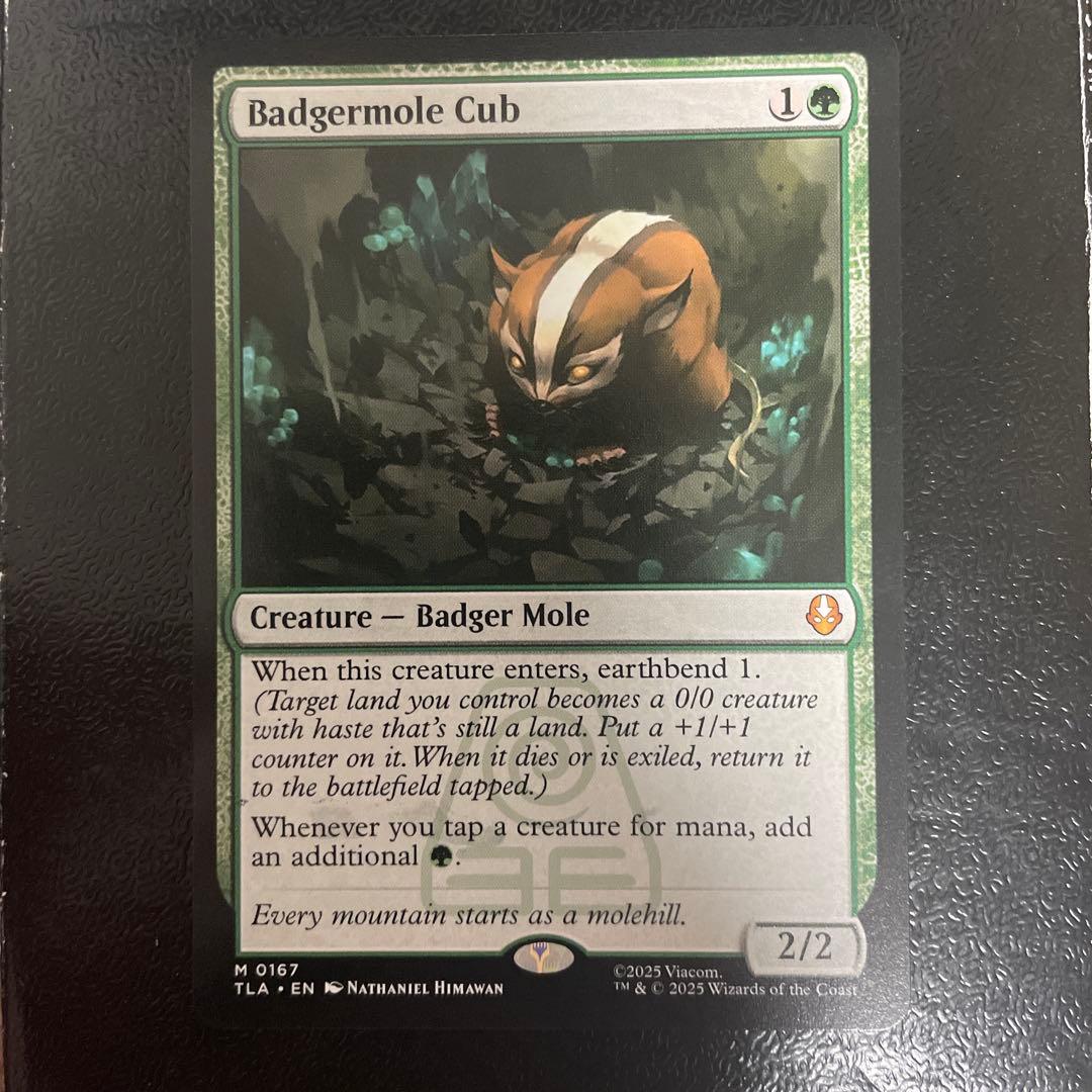 アナグマモグラの仔 絵違い アナグマモグラの仔/Badgermole Cub (全面