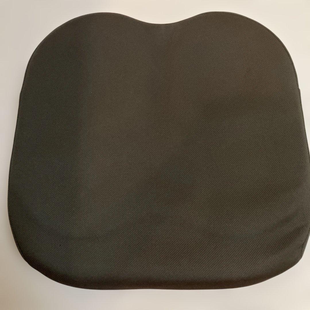 EXGEL エクスジェル　ザ・アウルスタンダード　　　ブラウン　クッション