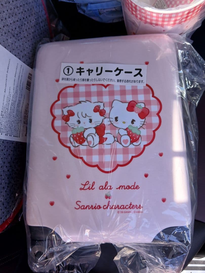 サンリオ当たりくじ　キャリーケース サンリオ Lilalamode mikko当たりくじキャリーケース 送料込み - メルカリ