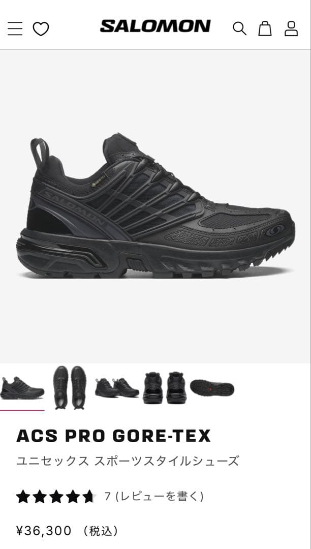 靴 Salomon ACS Pro GORE-TEX \