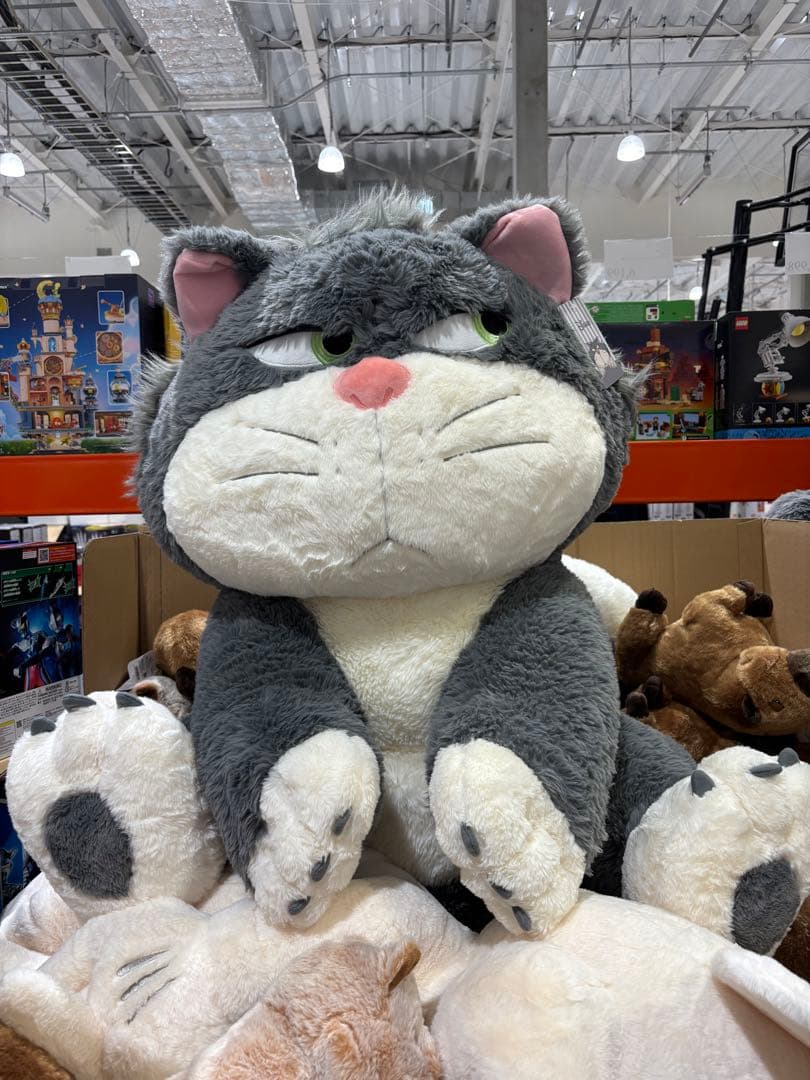 コストコ　ルシファー　特大　ぬいぐるみ　80cm コストコで一目惚れしました♡ | 川崎希オフィシャルブログ「のぞふぃ