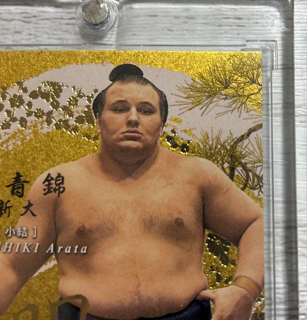 大相撲 BBM 2026 SUMO CARDSインサートカード明星 安青錦 優勝 - メルカリ