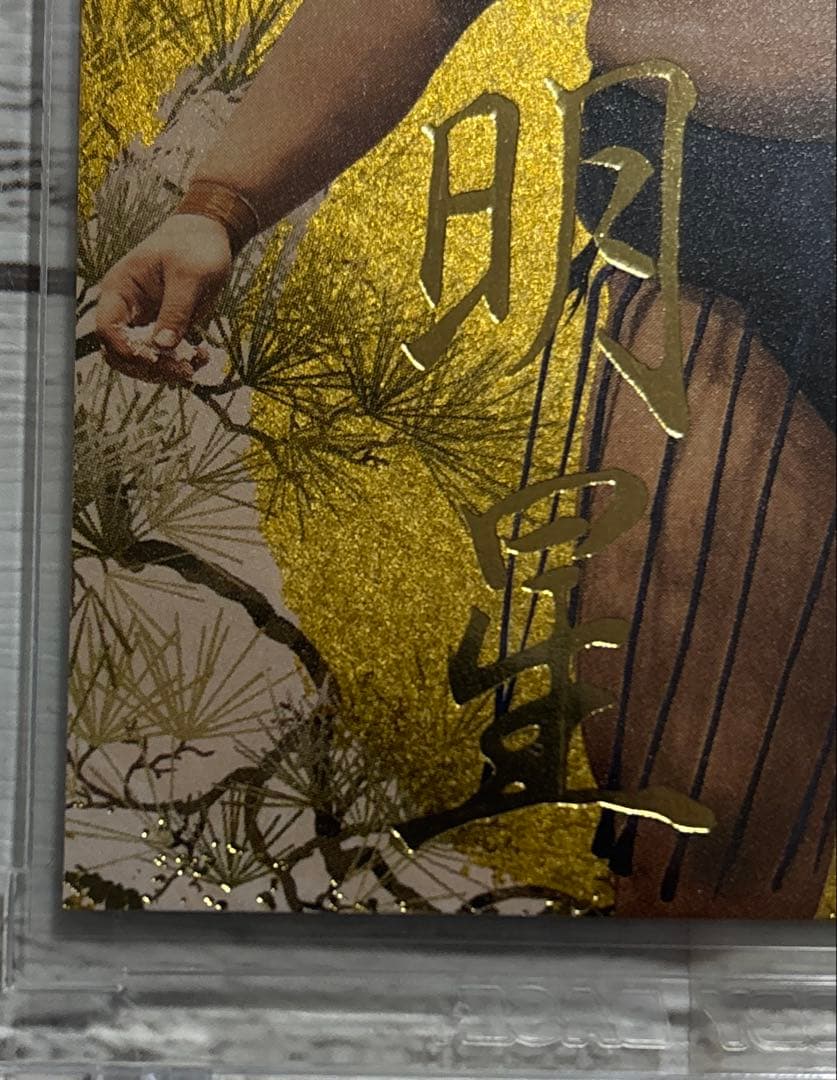 大相撲 BBM 2026 SUMO CARDSインサートカード明星 安青錦 優勝 - メルカリ