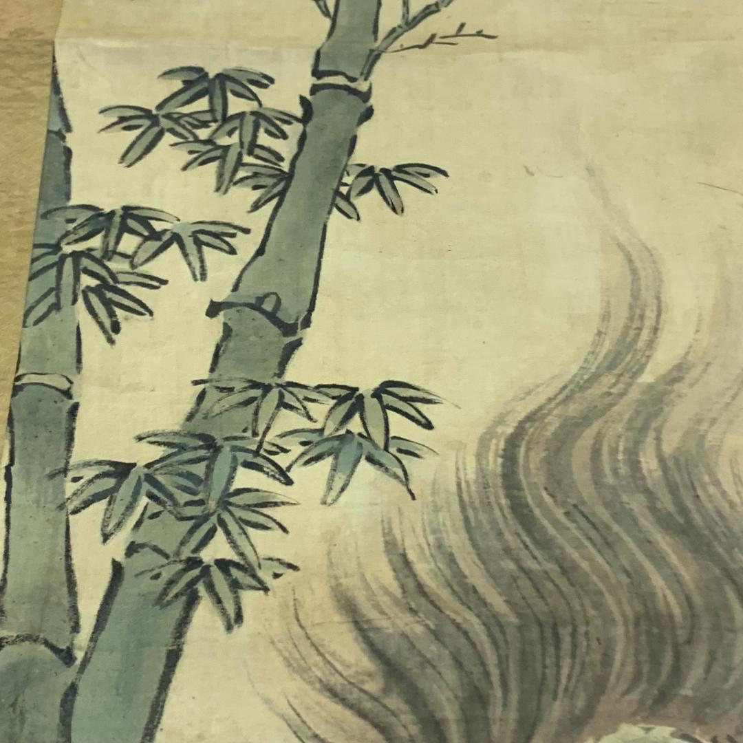 掛け軸 落款印有り 狩野探信 亀 竹 岩 水辺 昭和レトロ 時代物 - メルカリ