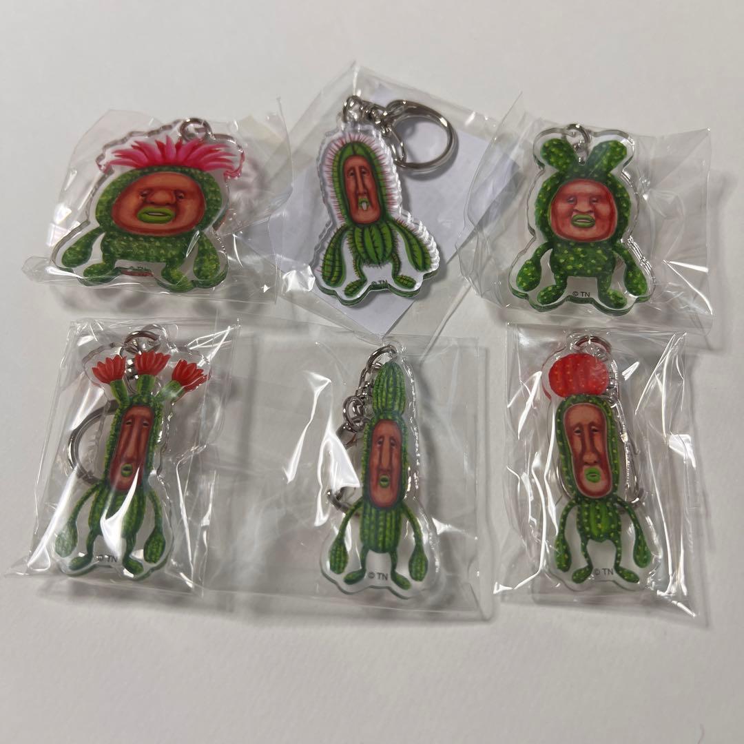 こびとづかんEXPO限定アクリルキーホルダー サボテンのこびと達コンプ