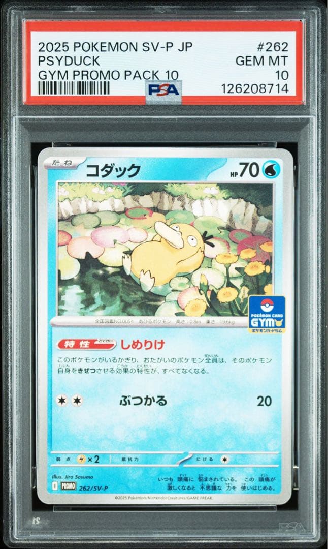 【PSA10】コダック　しめりけ　SV プロモ
