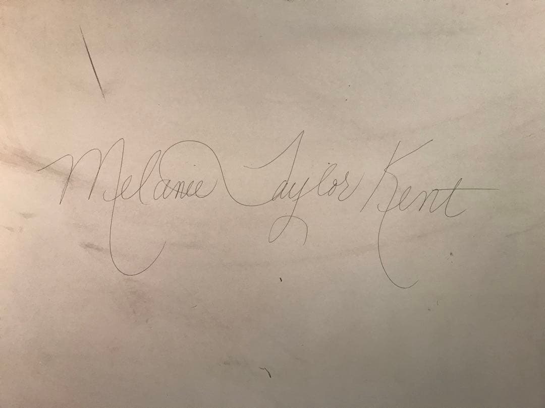 奏さま専用 メラニー・ケント「エレクトリックパレード」 シルク