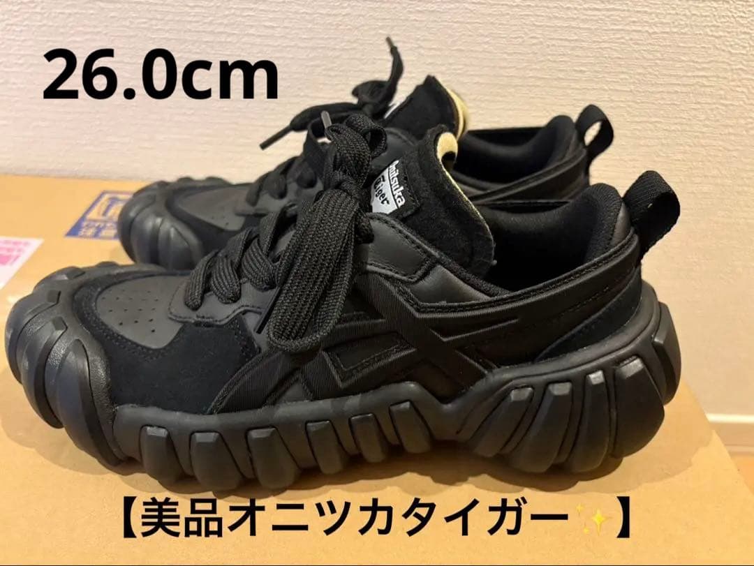 【美品✨️】26.0cm DENTIGRE LS / デンティグレ エルエス