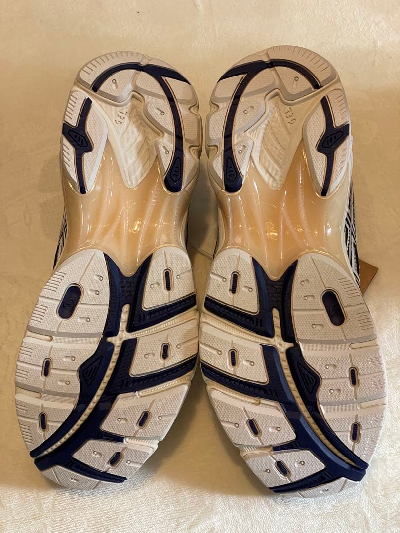 ASICS GT-2160 × COSTS \"Shaoji\" 26.5cm