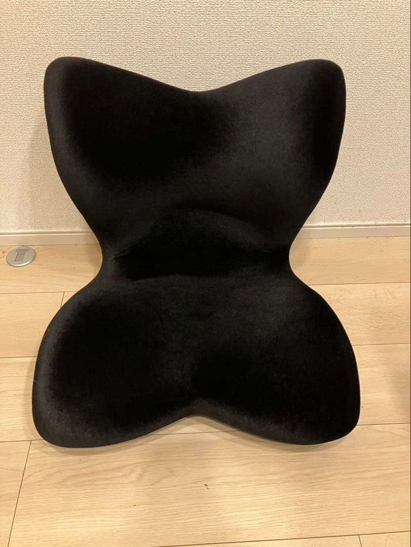 Style PREMIUM DX, ブラック