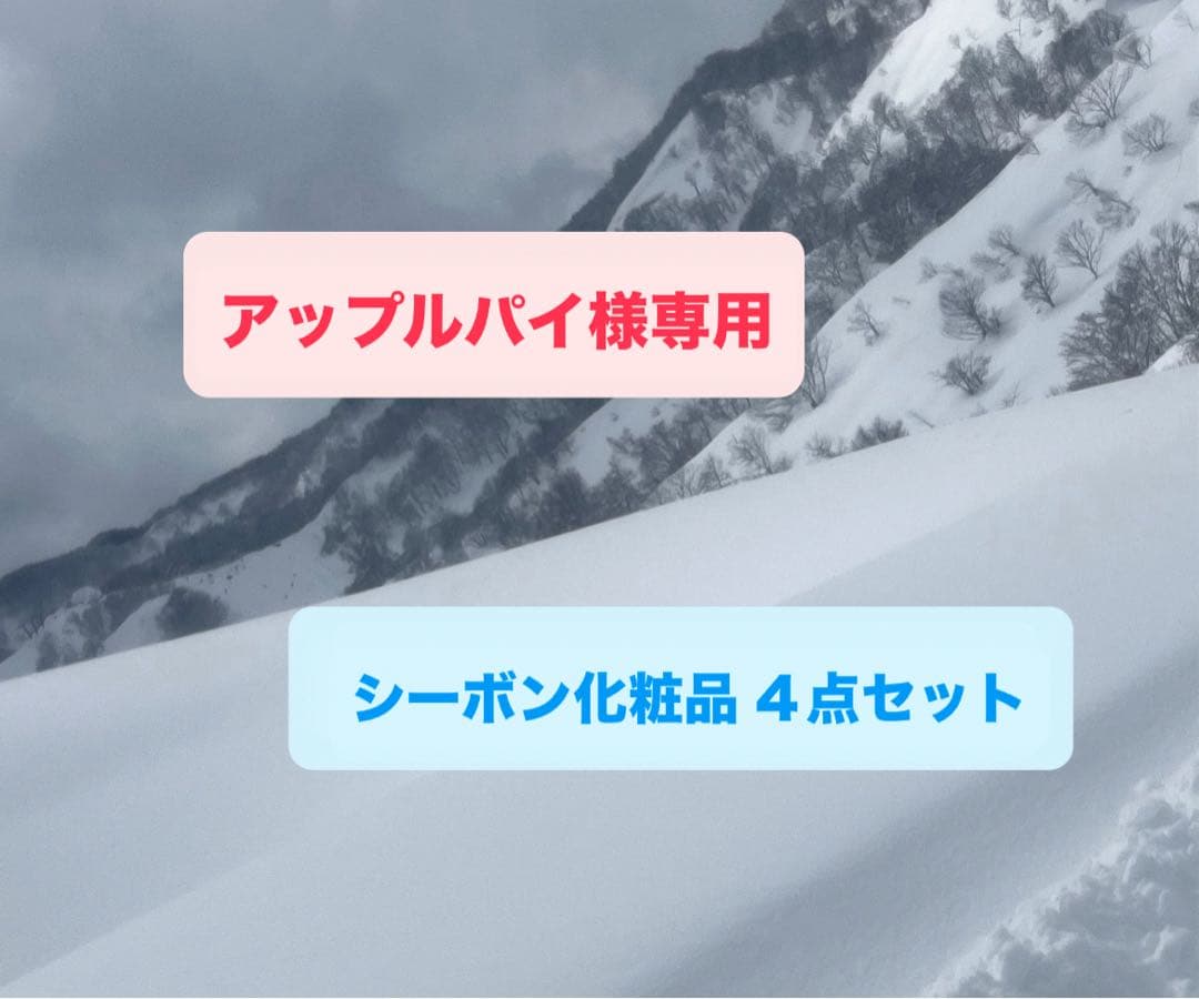 アップルパイ シーボン化粧品 ４点セット