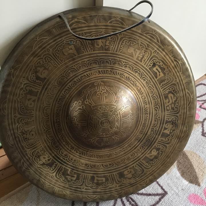 こちら ドラです