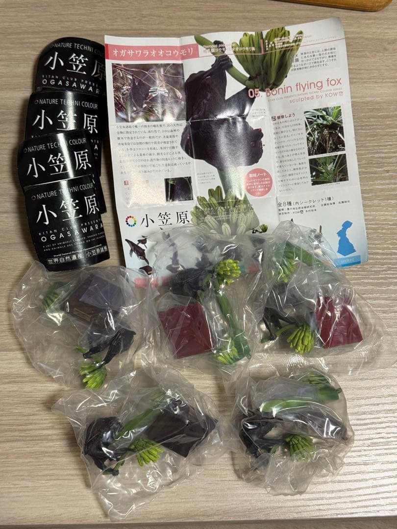 ネイチャーテクニカラー小笠原 オガサワラコウモリ 5個セット - メルカリ