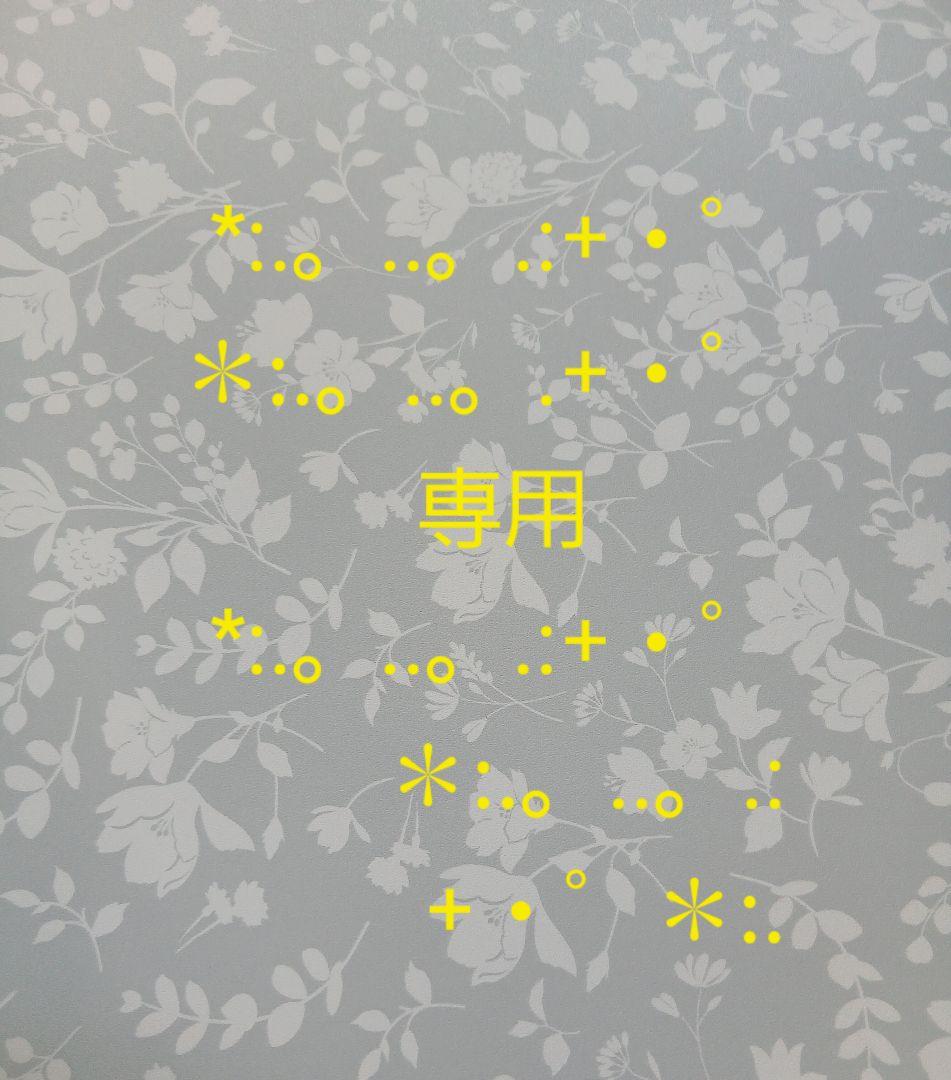 専用 鬼滅の刃 6点