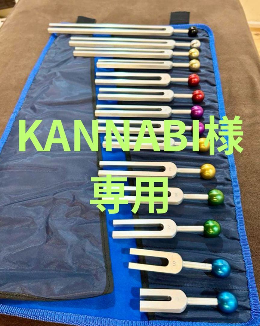 アラン・セールス　経絡音叉14本セット