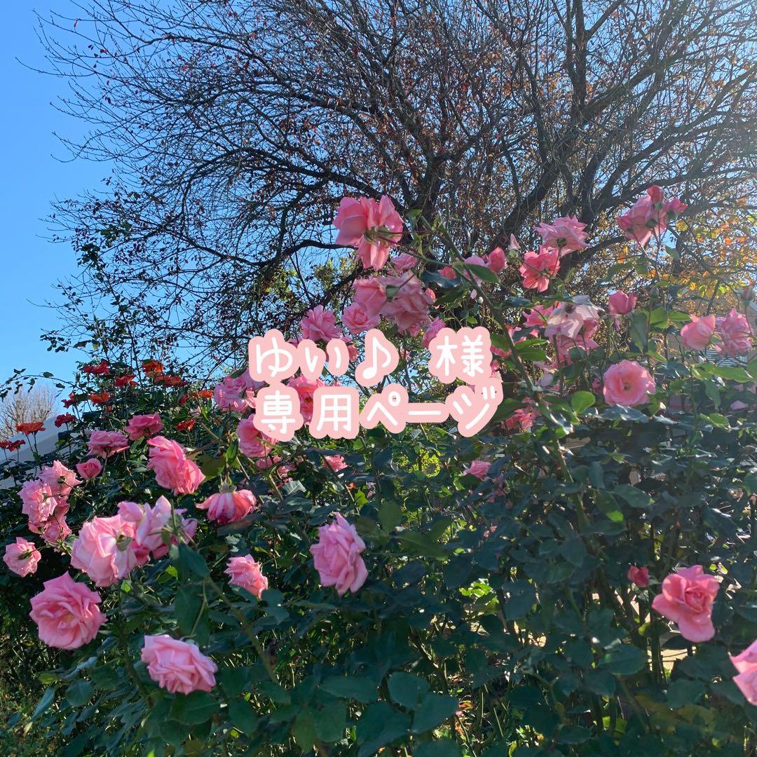 6876アンティークピアスイヤリングゴールド大ぶりフラワーシフォンロングお花