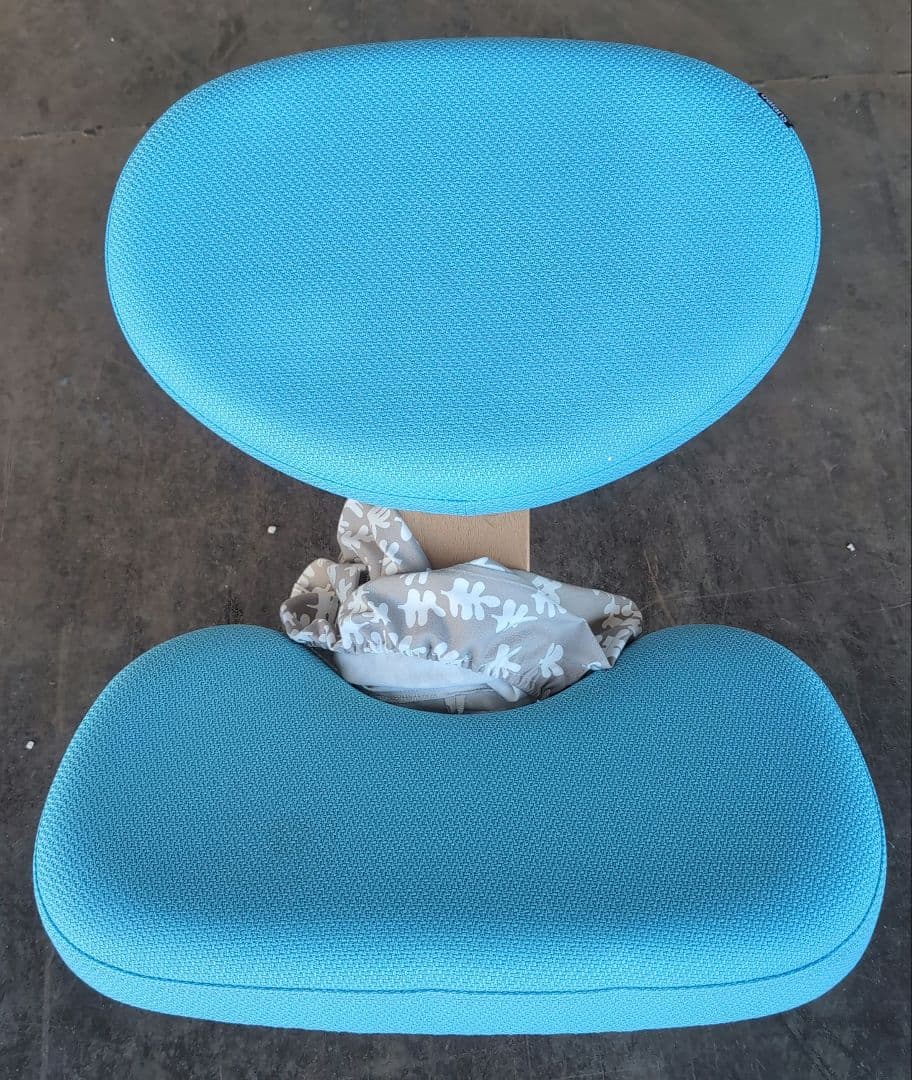 中古美品、バランスイージーミントグリン座面カバー付き - メルカリ