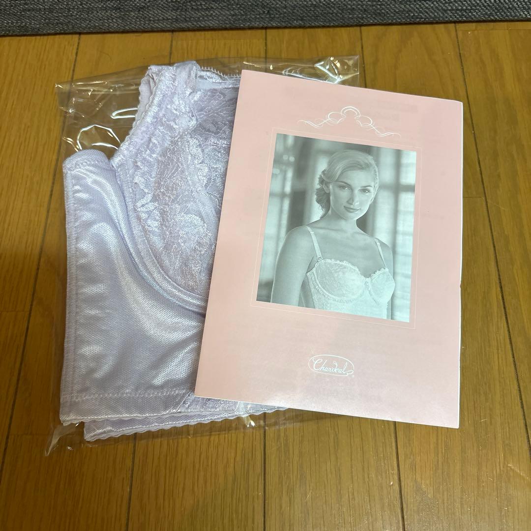 シャンデール ロングブラジャー ピンク D90