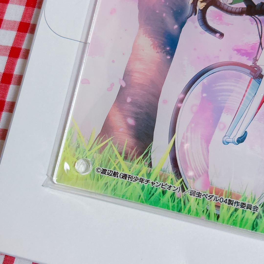 手嶋純太 青八木一 アクリルパネル 弱虫ペダル 桜ライド