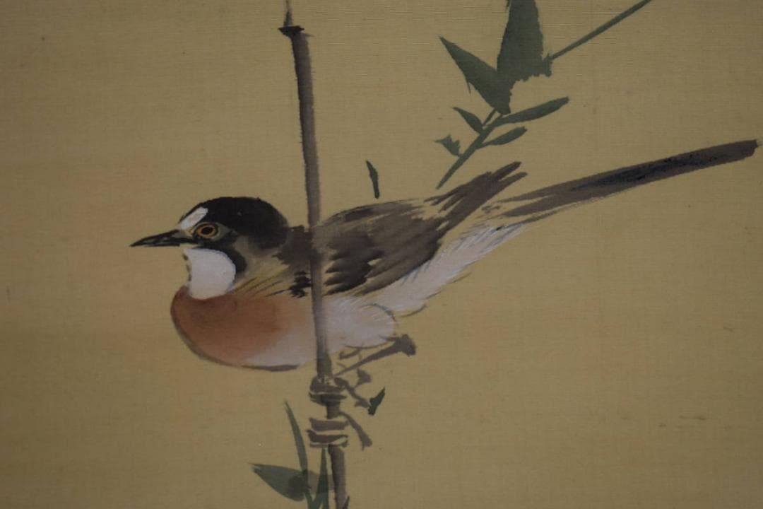 模写/酒井抱一/菊花小禽図/布袋屋掛軸HI-246