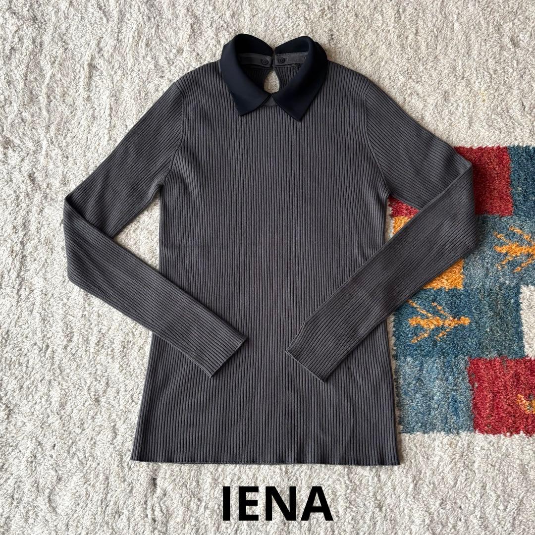 イエナ バイカラー 襟RIBホールガーメントプルオーバー　グレー　25AW