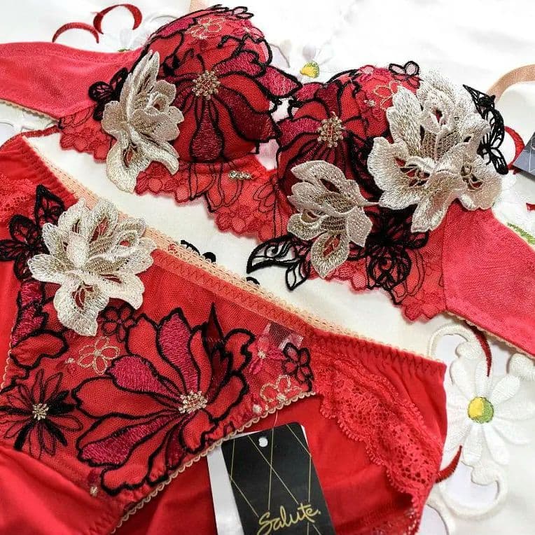 新品☆ワコール☆サルート☆96G・プラダを着た悪魔☆RE☆E70＆