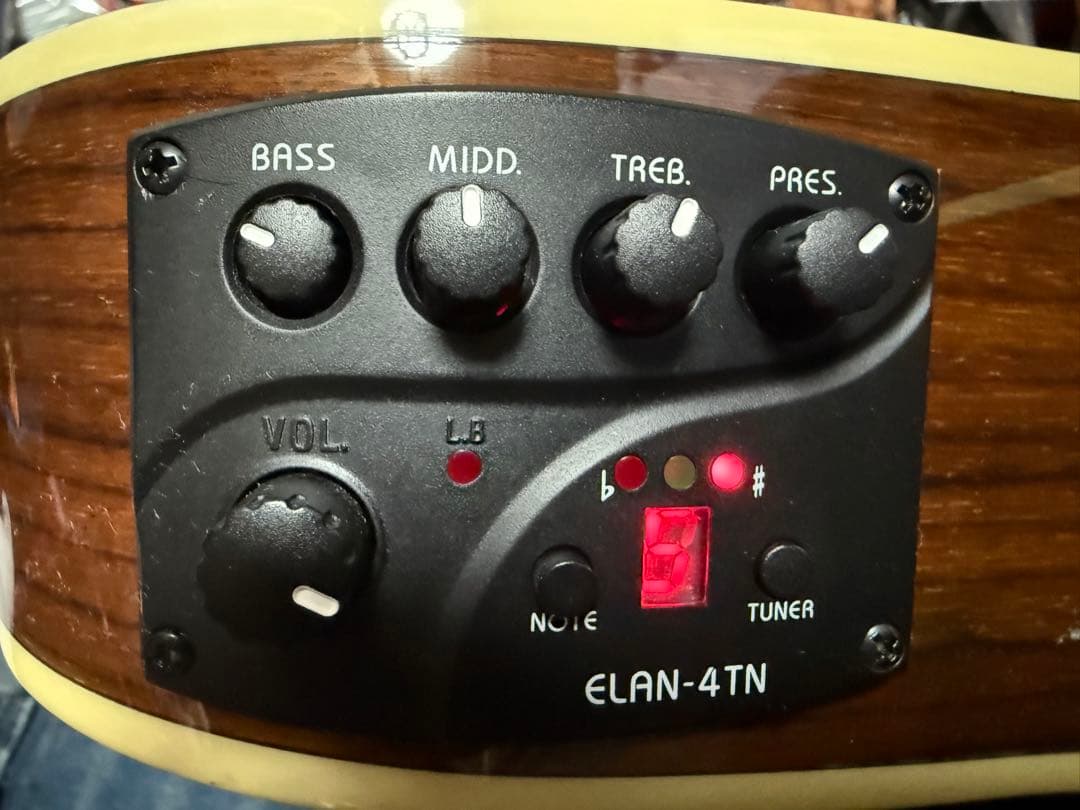 C*w様 ARIA ”THE SANDPIPER”SP-100CE Natura - メルカリ