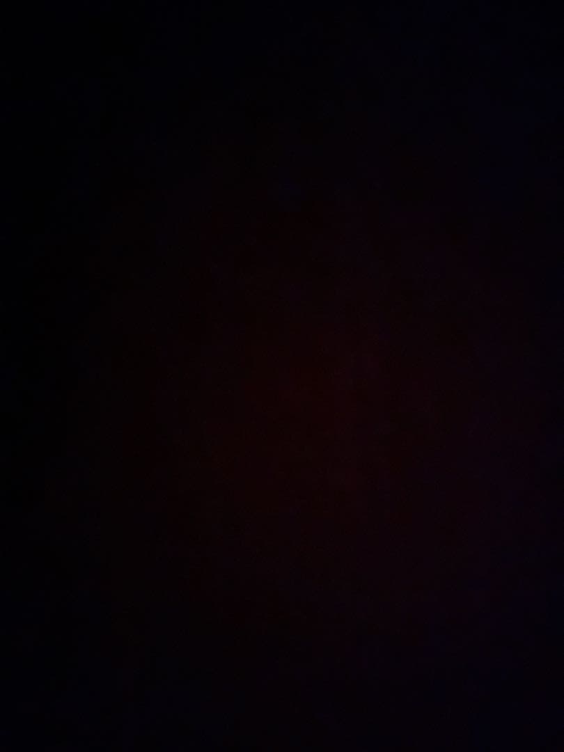 とわ　ファーフーディー　Lサイズ