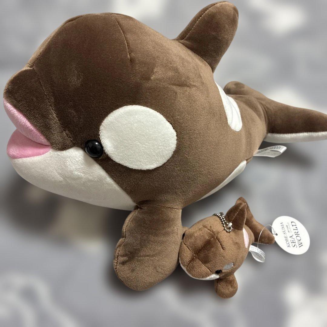 須磨シーワールド シャチ オルカくじ 新色 ショコラデュオカラー