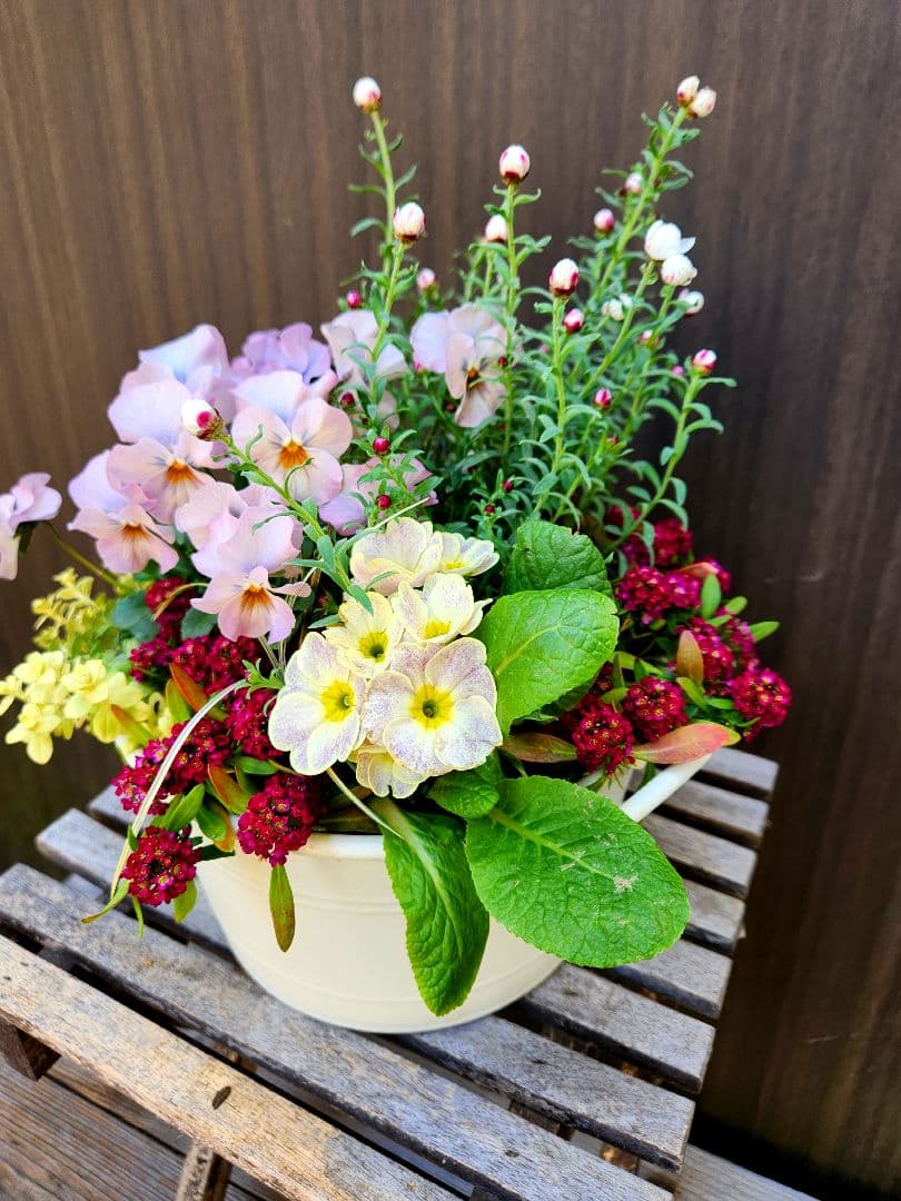 寄せ植え - メルカリ