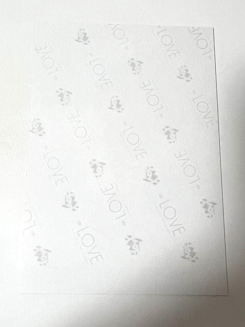 LOVE 生写真 サンタ2024衣装 野口衣織 直筆 - メルカリ